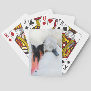 Cutest Baby Animals Mother & Baby Mute Swan Playing Cards