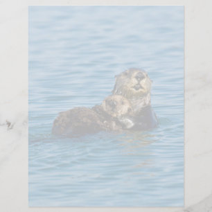 Cutest Baby Animals   Mother & Baby Sea Otter