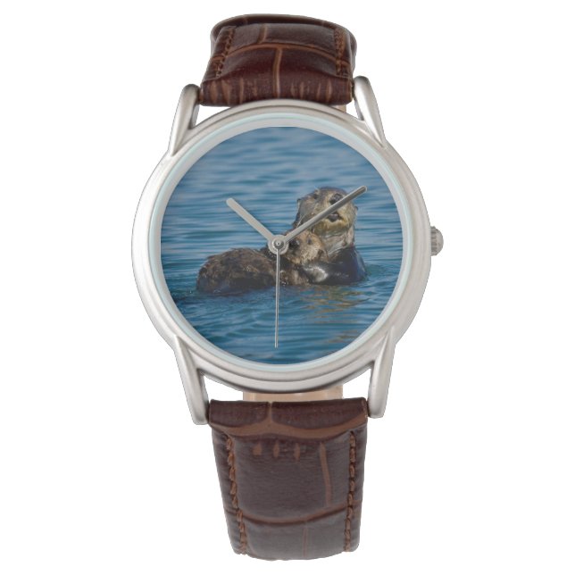 Cutest Baby Animals | Mother & Baby Sea Otter Watch (Front)
