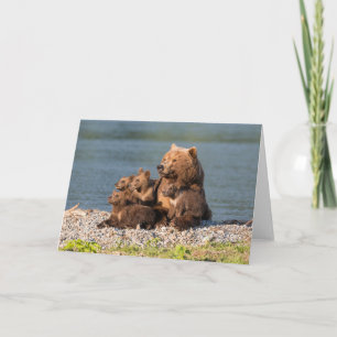 Cutest Baby Animals   Mother Bear & Cubs Card