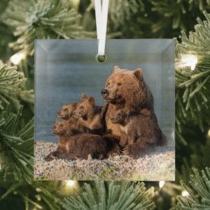 Cutest Baby Animals   Mother Bear & Cubs Glass Tree Decoration