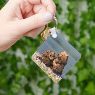 Cutest Baby Animals Mother Bear & Cubs Key Ring