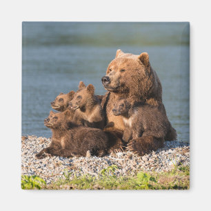 Cutest Baby Animals Mother Bear & Cubs Magnet