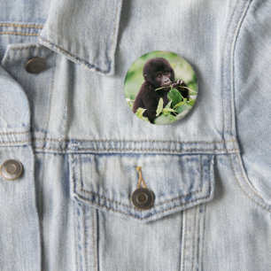 Cutest Baby Animals   Mountain Gorilla Baby 6 Cm Round Badge