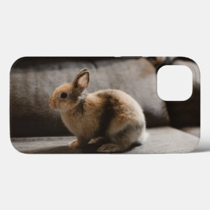 Cutest Baby Animals   Netherland Dwarf Rabbit iPhone 13 Case