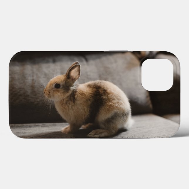 Cutest Baby Animals | Netherland Dwarf Rabbit Case-Mate iPhone Case (Back (Horizontal))