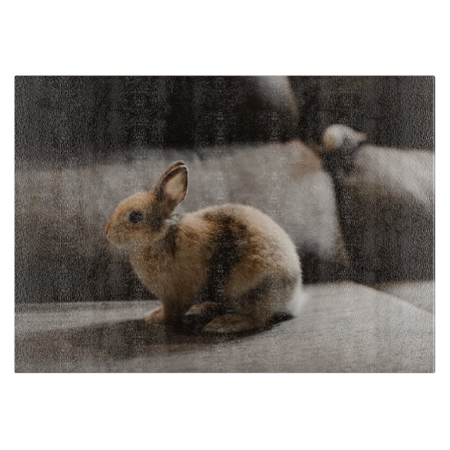 Cutest Baby Animals | Netherland Dwarf Rabbit Cutting Board (Front)