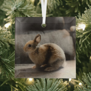 Cutest Baby Animals Netherland Dwarf Rabbit Glass Tree Decoration