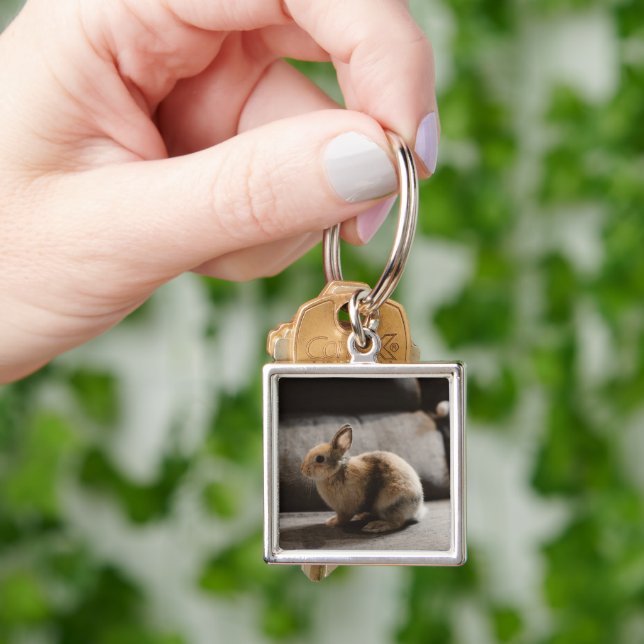 Cutest Baby Animals | Netherland Dwarf Rabbit Key Ring (Hand)