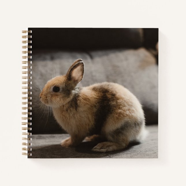 Cutest Baby Animals | Netherland Dwarf Rabbit Notebook (Front)
