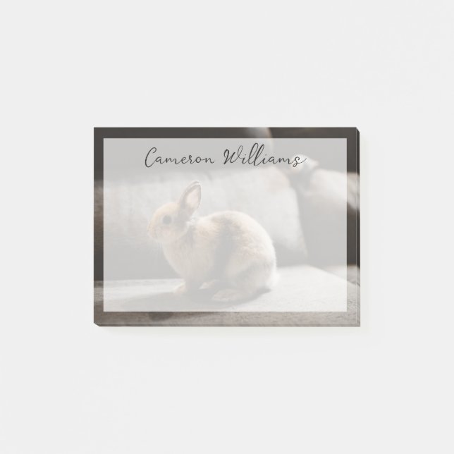 Cutest Baby Animals | Netherland Dwarf Rabbit Post-it Notes (Front)