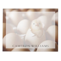 Cutest Baby Animals | New Baby Chick