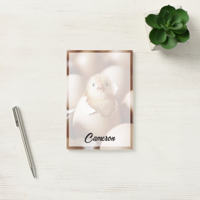 Cutest Baby Animals | New Baby Chick Post-it Notes (Office)