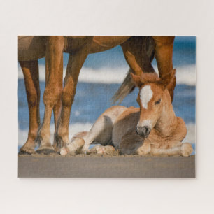 Cutest Baby Animals Newborn Corolla Wild Horse Jigsaw Puzzle