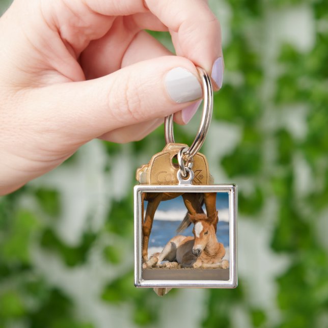 Cutest Baby Animals | Newborn Corolla Wild Horse Key Ring (Hand)