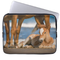 Cutest Baby Animals | Newborn Corolla Wild Horse