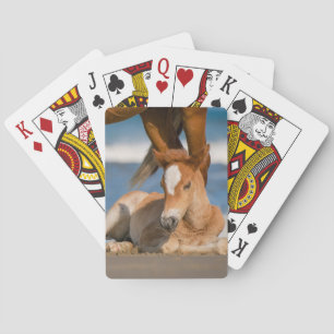 Cutest Baby Animals Newborn Corolla Wild Horse Playing Cards