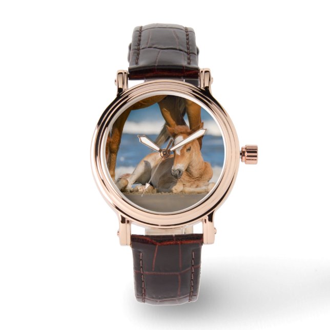 Cutest Baby Animals | Newborn Corolla Wild Horse Watch (Front)