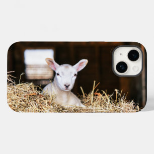 Cutest Baby Animals   Newborn Lamb Case-Mate iPhone 14 Case