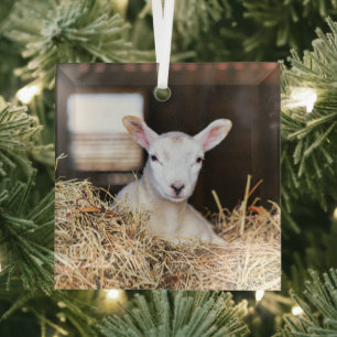 Cutest Baby Animals Newborn Lamb Glass Tree Decoration