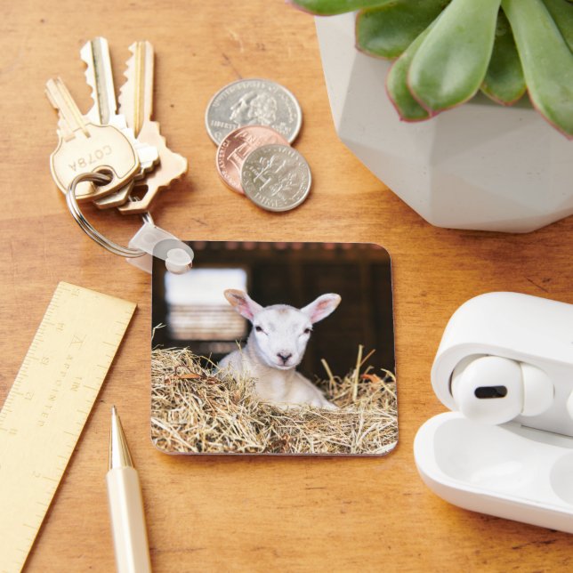 Cutest Baby Animals | Newborn Lamb Key Ring (Desk)