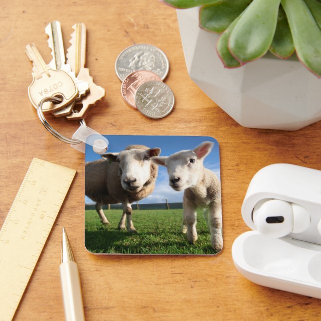 Cutest Baby Animals | Newborn Lamb & Mama Key Ring (Desk)