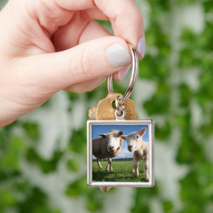 Cutest Baby Animals   Newborn Lamb & Mama Key Ring