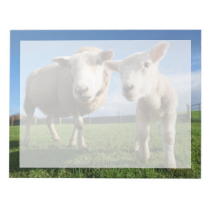 Cutest Baby Animals Newborn Lamb & Mama Notepad