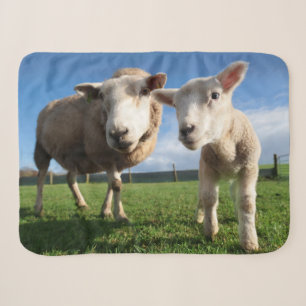 Cutest Baby Animals Newborn Lamb & Mama Sherpa Blanket