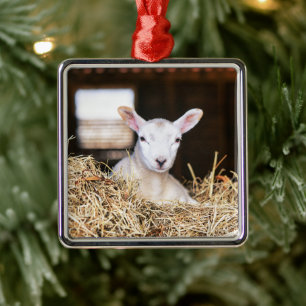 Cutest Baby Animals Newborn Lamb Metal Tree Decoration