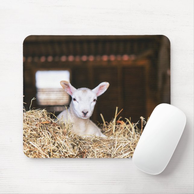 Cutest Baby Animals | Newborn Lamb Mouse Pad (With Mouse)