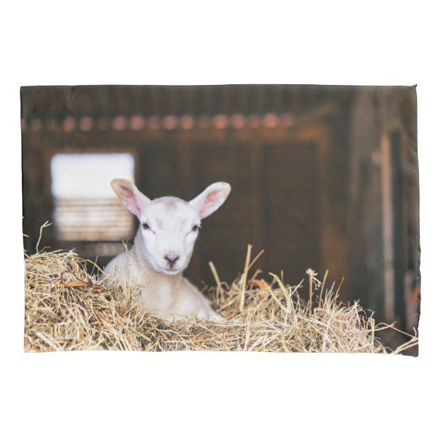 Cutest Baby Animals | Newborn Lamb Pillowcase (Front)