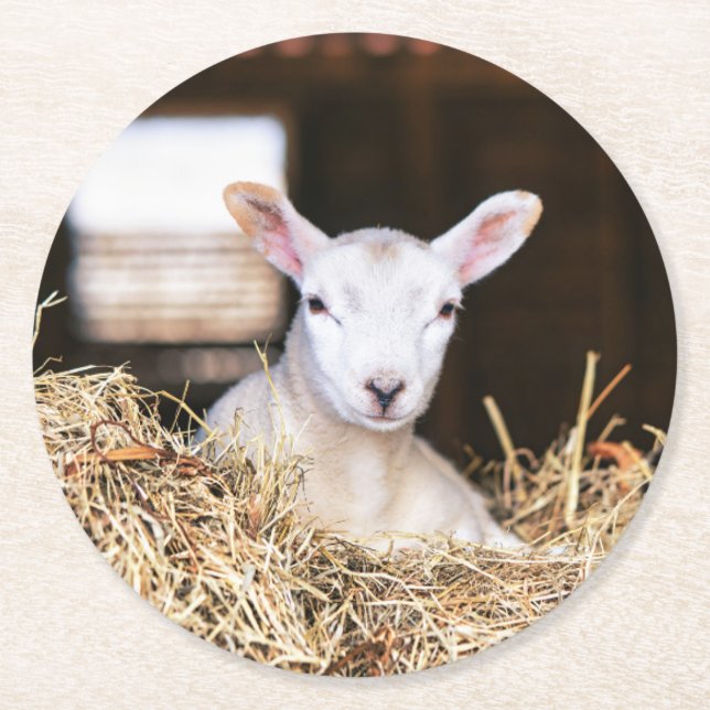 Cutest Baby Animals | Newborn Lamb Round Paper Coaster (Front)