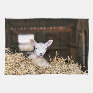 Cutest Baby Animals Newborn Lamb Tea Towel