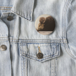 Cutest Baby Animals   Newborn Otter Pup 6 Cm Round Badge