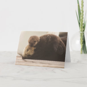Cutest Baby Animals   Newborn Otter Pup Card
