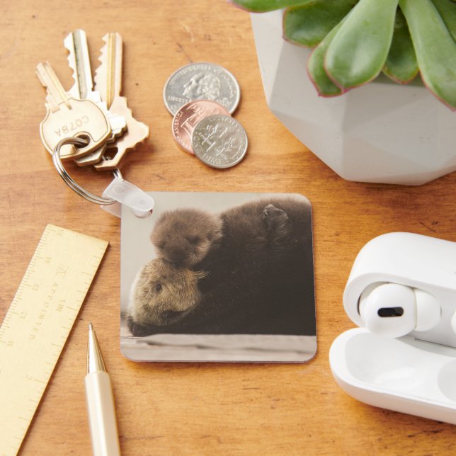 Cutest Baby Animals | Newborn Otter Pup Key Ring (Desk)