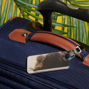 Cutest Baby Animals   Newborn Otter Pup Luggage Tag