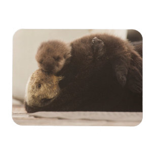 Cutest Baby Animals Newborn Otter Pup Magnet