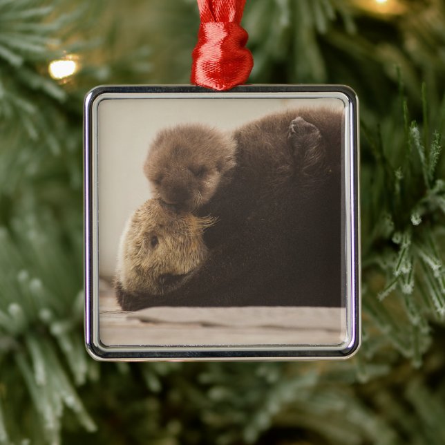 Cutest Baby Animals | Newborn Otter Pup Metal Tree Decoration (Tree)