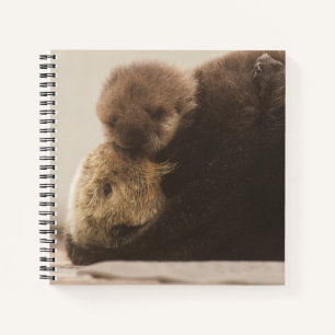 Cutest Baby Animals   Newborn Otter Pup Notebook