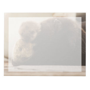 Cutest Baby Animals   Newborn Otter Pup Notepad