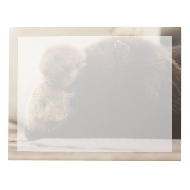 Cutest Baby Animals | Newborn Otter Pup Notepad (Front)