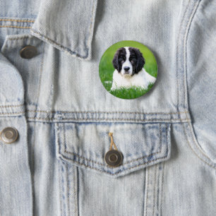 Cutest Baby Animals Newfoundland Puppy 6 Cm Round Badge