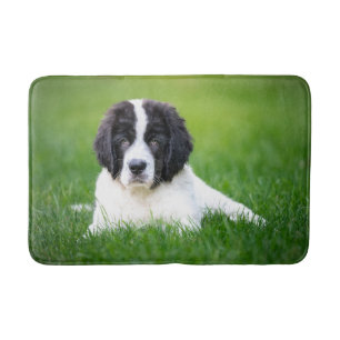 Cutest Baby Animals Newfoundland Puppy Bath Mat