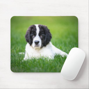 Cutest Baby Animals Newfoundland Puppy Mouse Pad