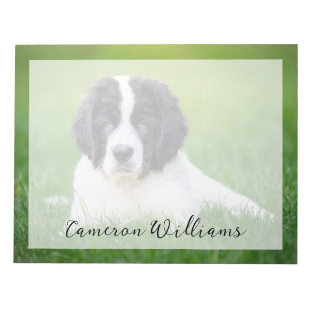 Cutest Baby Animals | Newfoundland Puppy Notepad (Front)