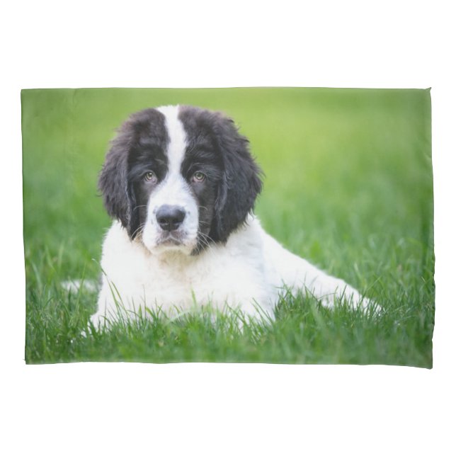 Cutest Baby Animals | Newfoundland Puppy Pillowcase (Front)