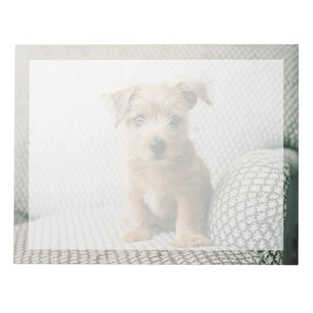 Cutest Baby Animals | Norfolk Terrier Puppy Notepad (Front)