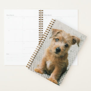 Cutest Baby Animals   Norfolk Terrier Puppy Planner